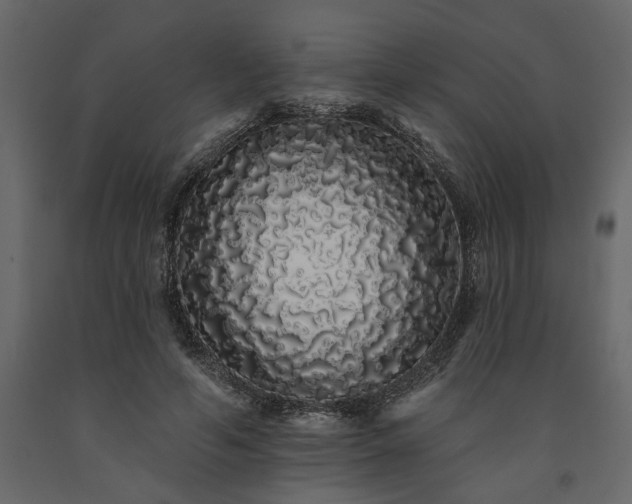 X0000091530594200708241713