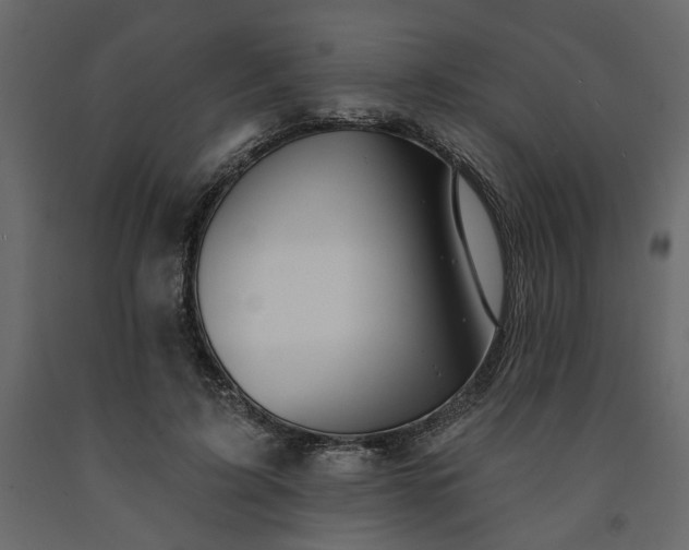 X0000091530595200708241713
