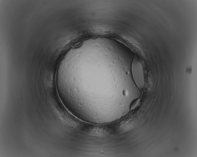 X0000091530596200708241713