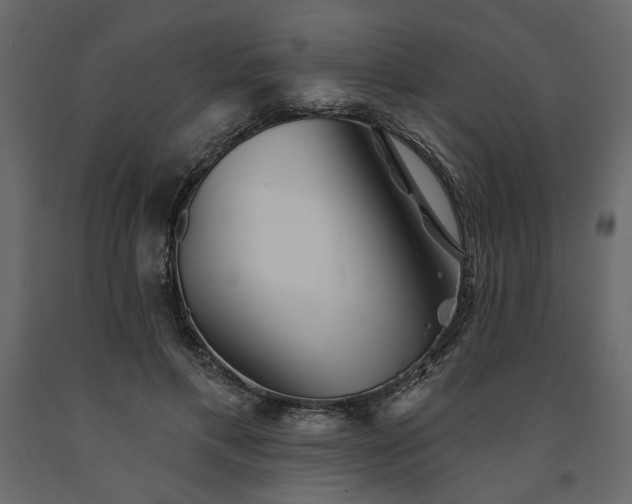 X0000091530597200708241713