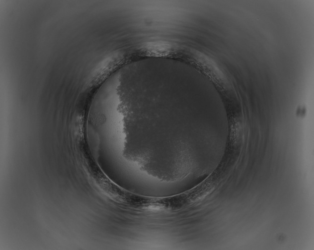 X0000091530598200708241713