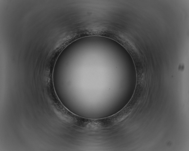 X0000091530599200708241713