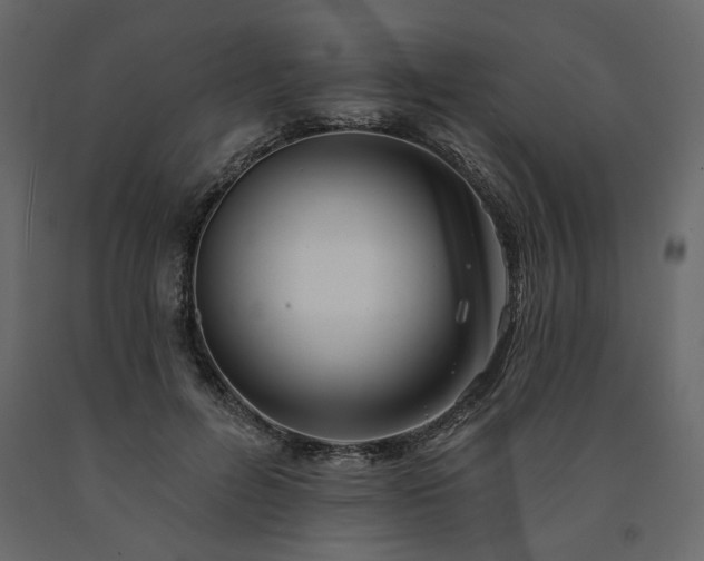 X0000091530600200708241713
