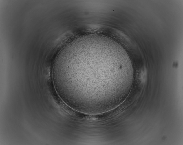 X0000091530602200708241713