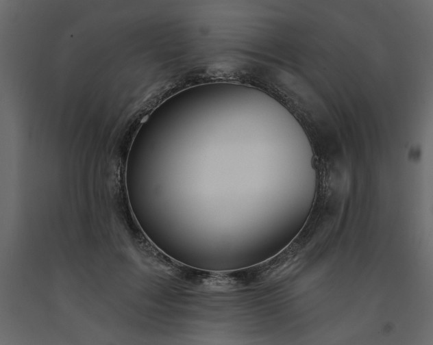 X0000091530603200708241713