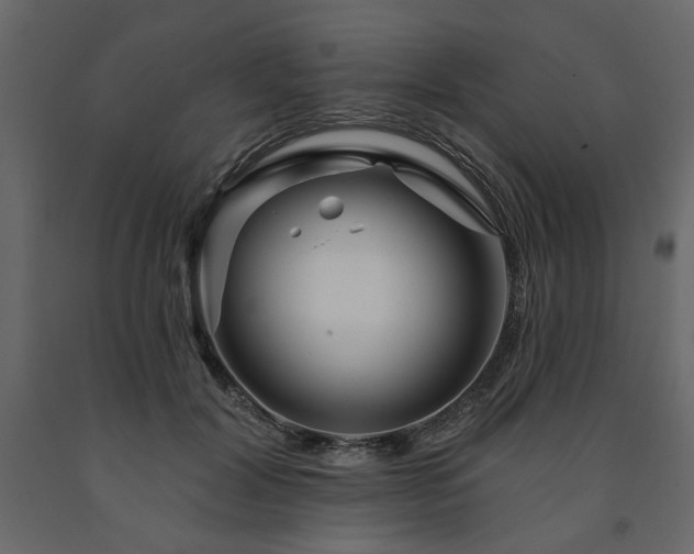X0000091530604200708241713