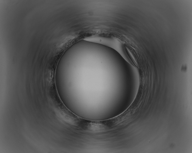 X0000091530605200708241713