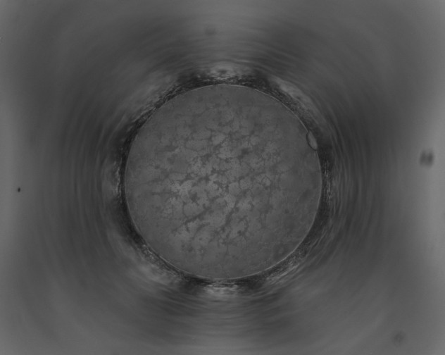 X0000091530606200708241713