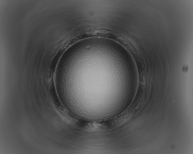 X0000091530607200708241713