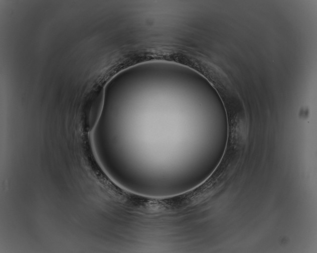 X0000091530608200708241713
