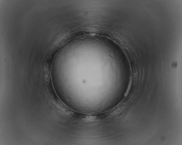 X0000091530609200708241713