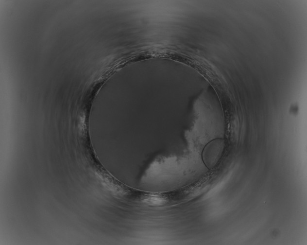 X0000091530610200708241713