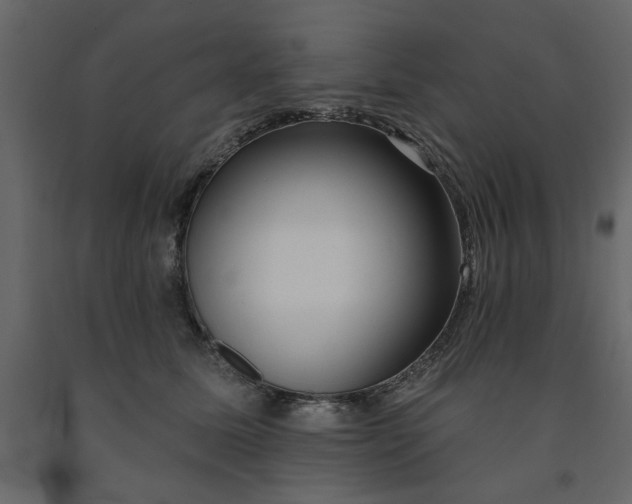 X0000091530611200708241713