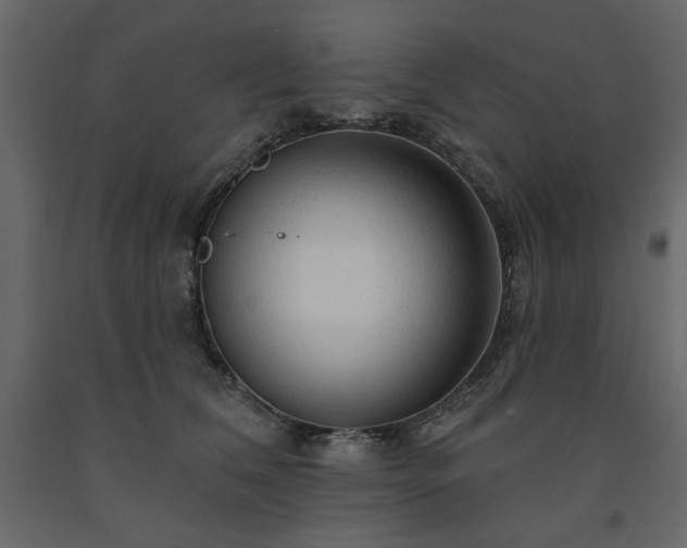 X0000091530612200708241713