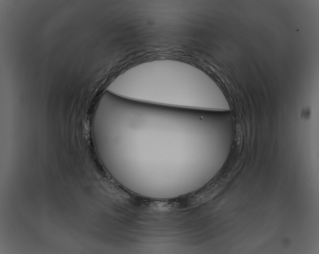 X0000091530613200708241713