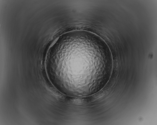 X0000091530615200708241713