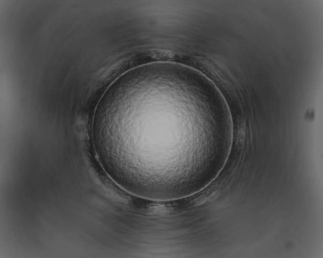 X0000091530616200708241713