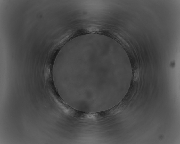 X0000091530618200708241713