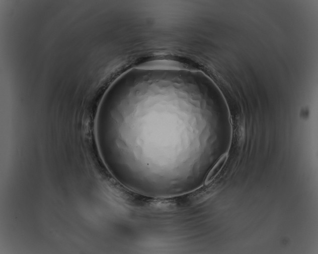 X0000091530619200708241713