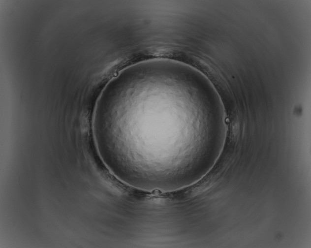 X0000091530620200708241713
