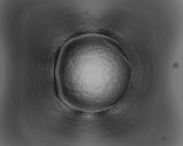 X0000091530624200708241713