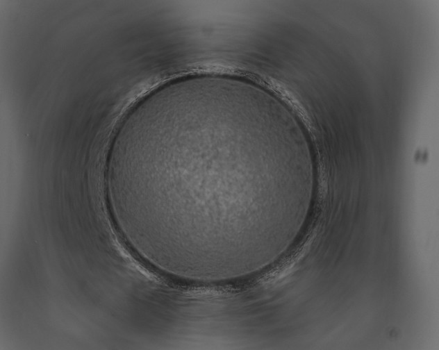 X0000091530625200708241712