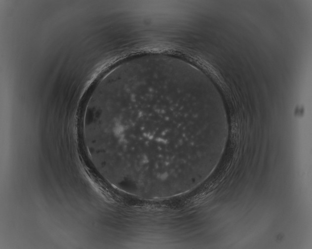 X0000091530626200708241712