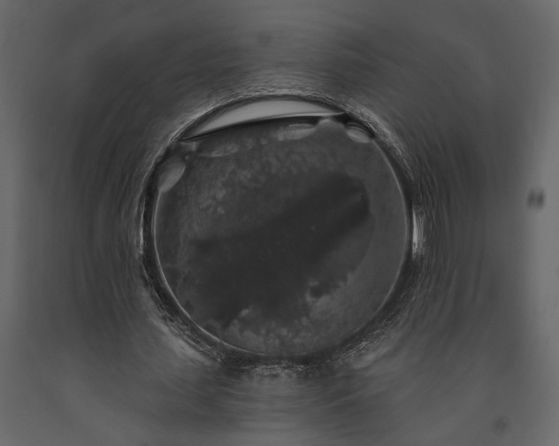X0000091530627200708241712