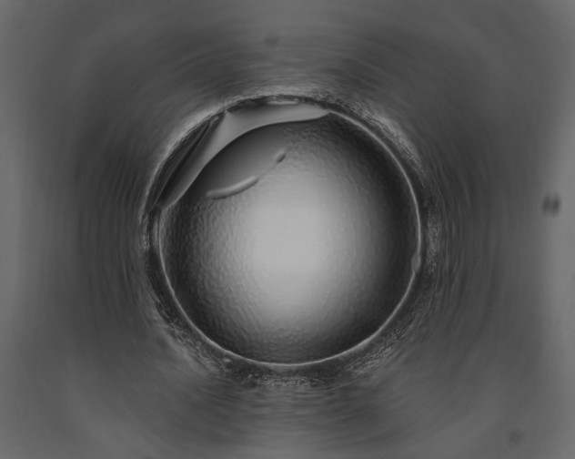 X0000091530628200708241712