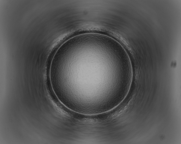 X0000091530629200708241712