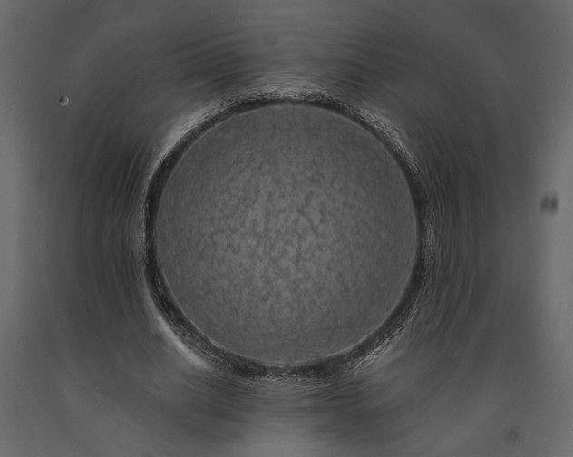 X0000091530630200708241712