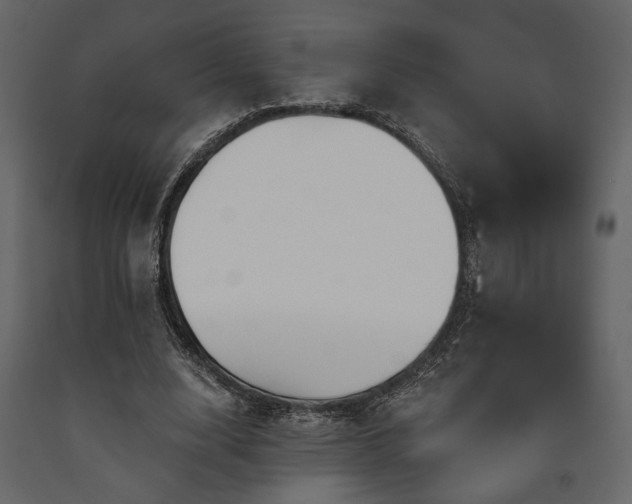 X0000091530632200708241712