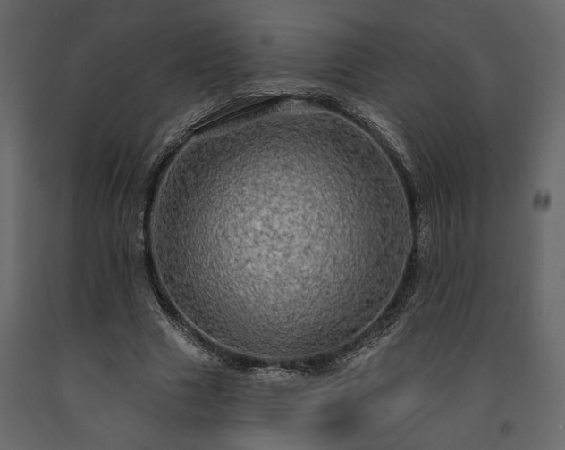 X0000091530633200708241712