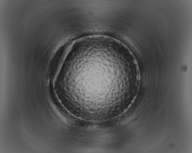 X0000091530634200708241712