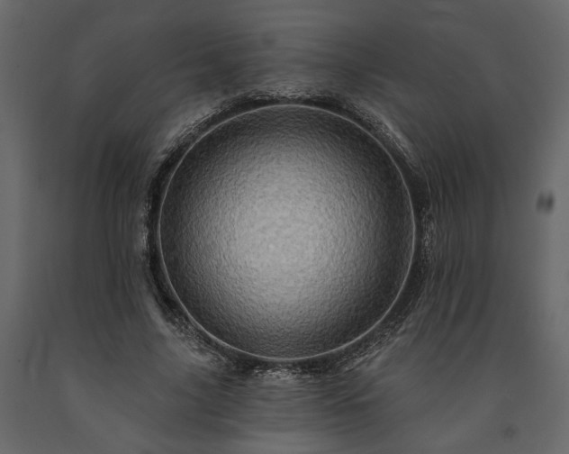 X0000091530635200708241712