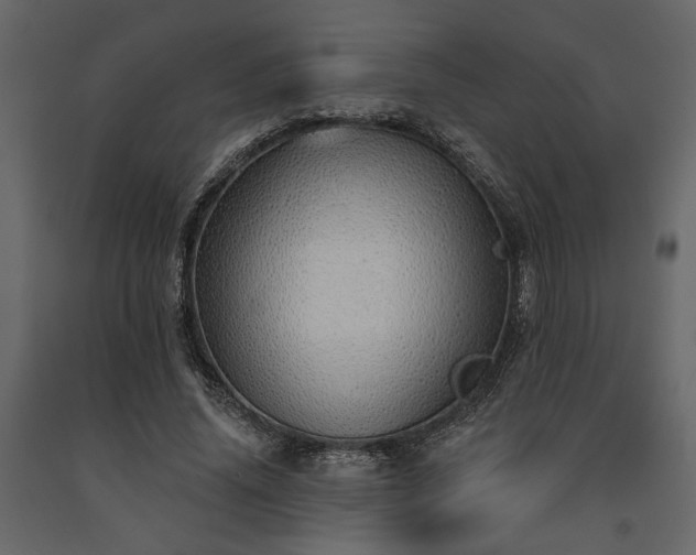 X0000091530636200708241712