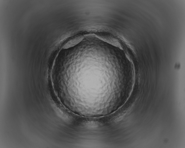 X0000091530637200708241712