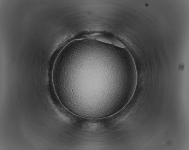 X0000091530638200708241712