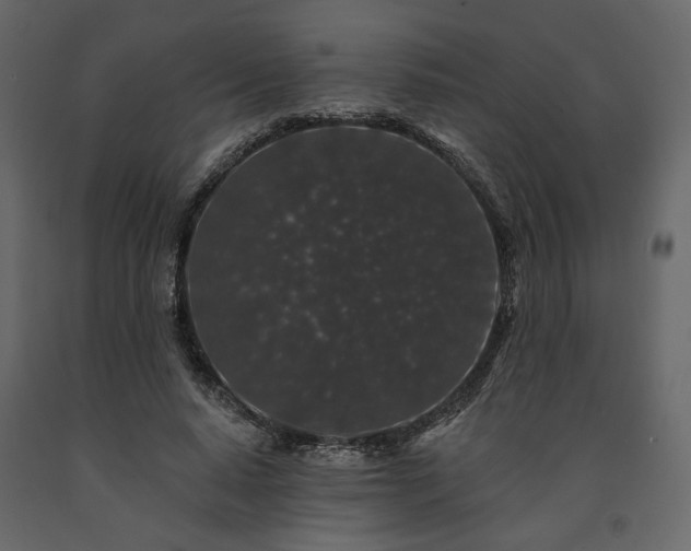 X0000091530640200708241712