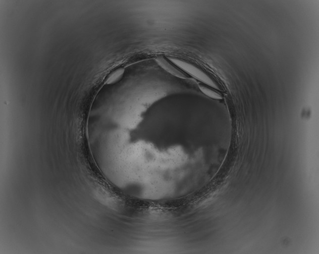 X0000091530641200708241712