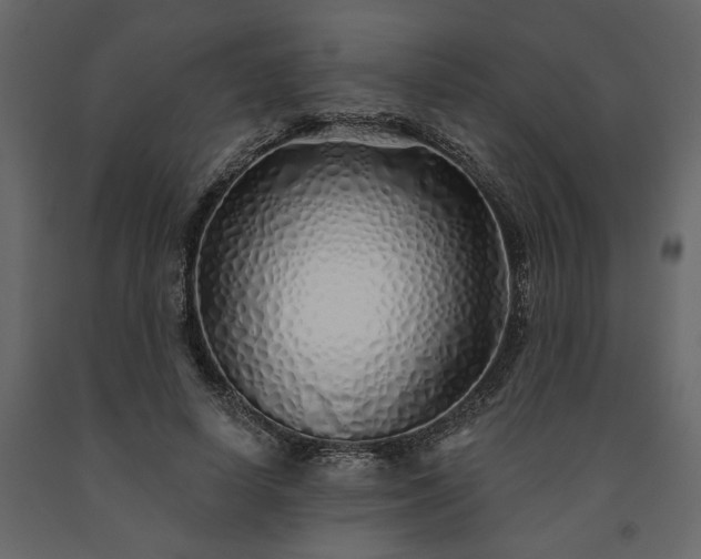 X0000091530642200708241712