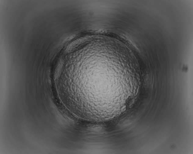 X0000091530643200708241713