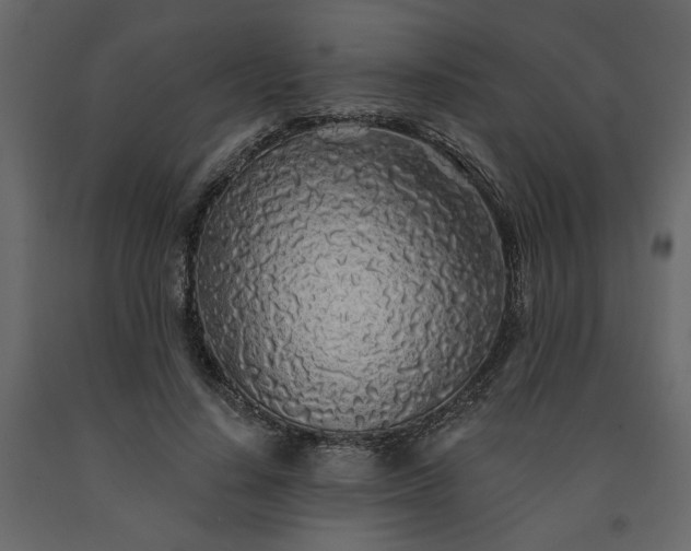X0000091530644200708241713
