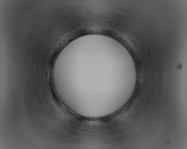 X0000091530645200708241713