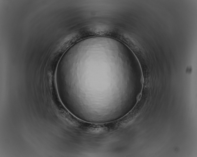 X0000091530646200708241713