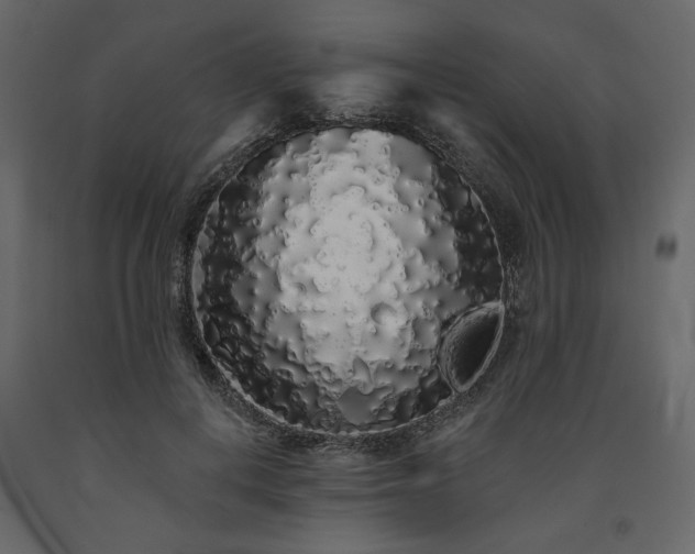 X0000091530648200708241713