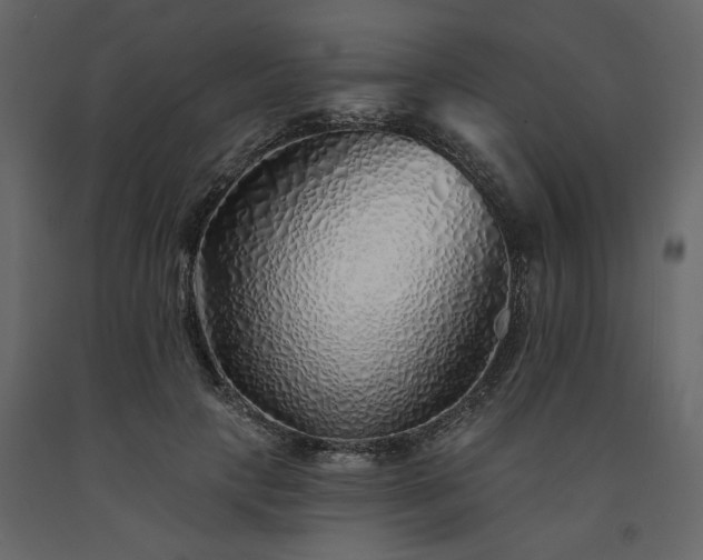 X0000091530649200708241713