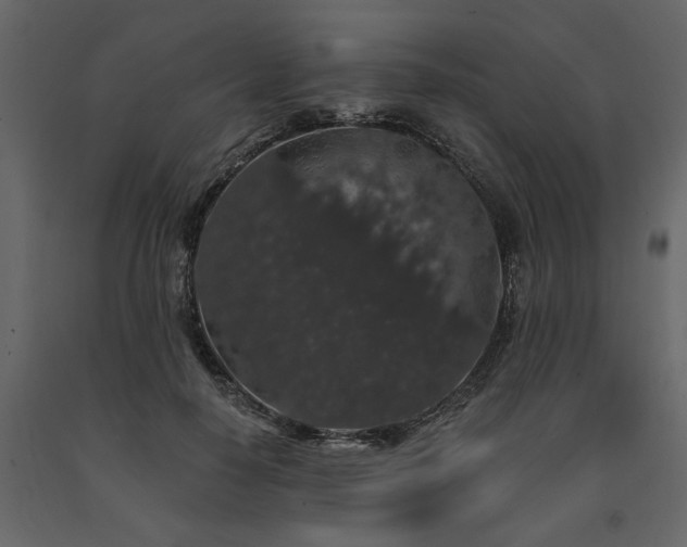 X0000091530650200708241713