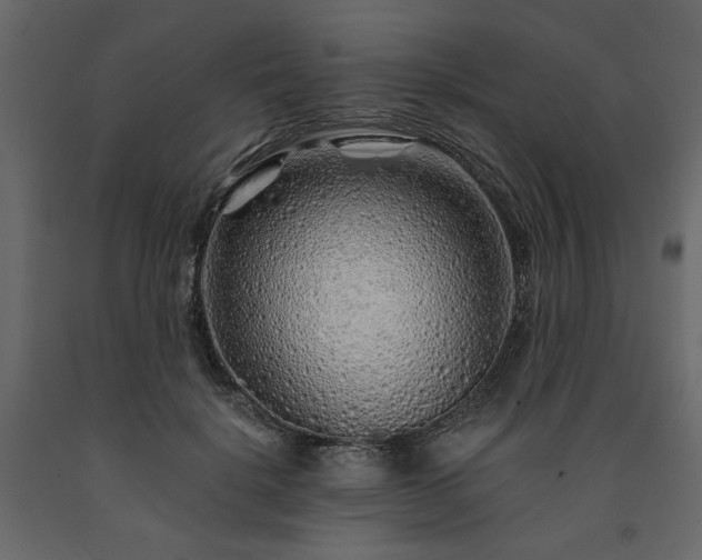 X0000091530652200708241713