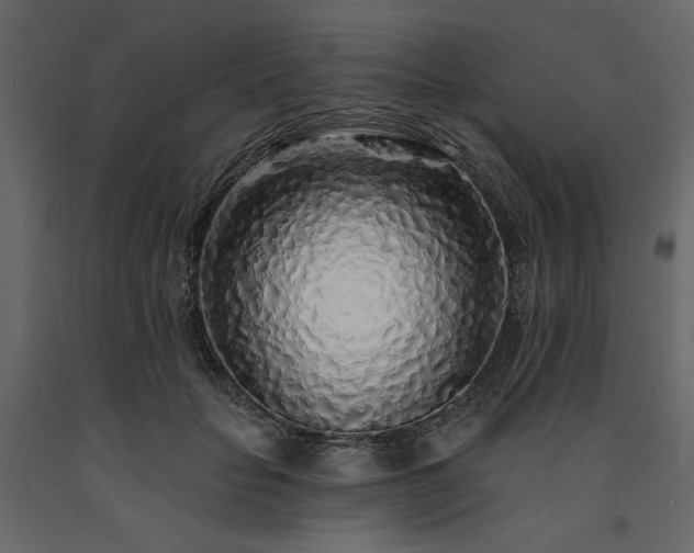 X0000091530653200708241713